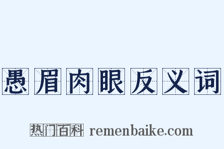 愚眉肉眼反义词是什么意思的图片